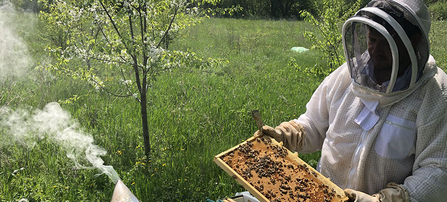 Ставропольская вощина bee-wax.ru